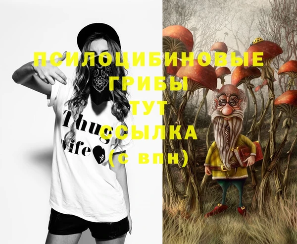 MDMA Карталы