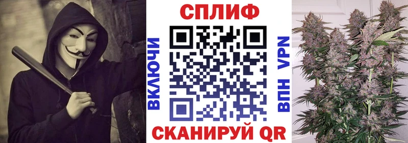 Бошки Шишки Amnesia  Купить закладки  Вязники 
